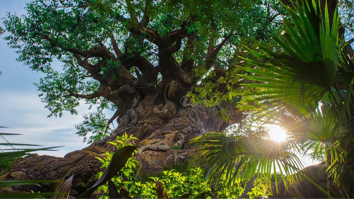 Popular Animal Kingdom Entertainment act 'Divine' returning this month | Chip and Company